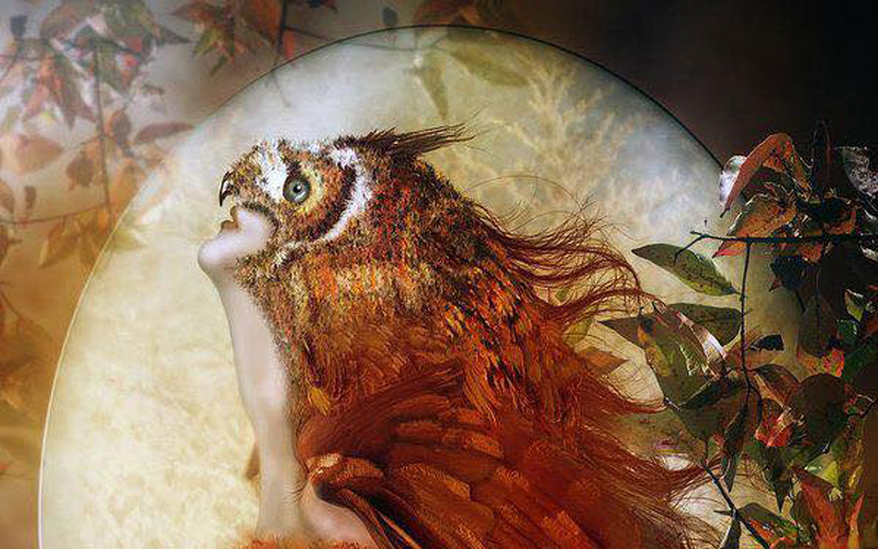 Deepen Your Spiritual Journey: Four Lessons for the Fall Season – Path ...